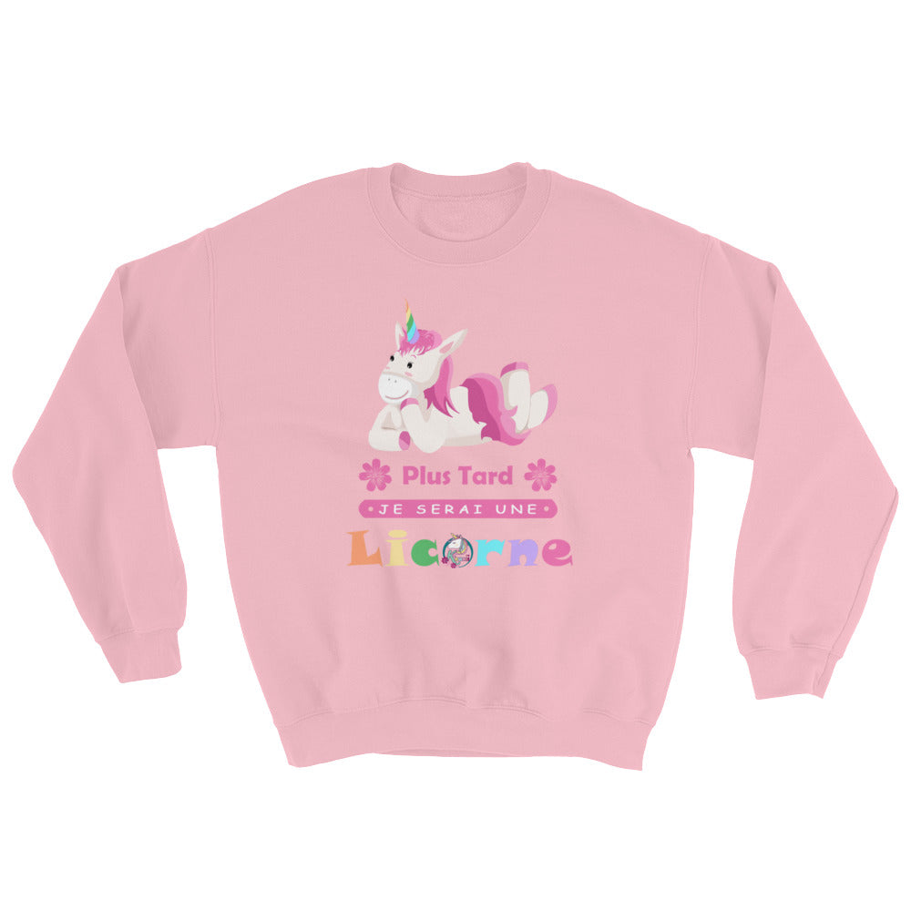 Sweat Licorne adulte